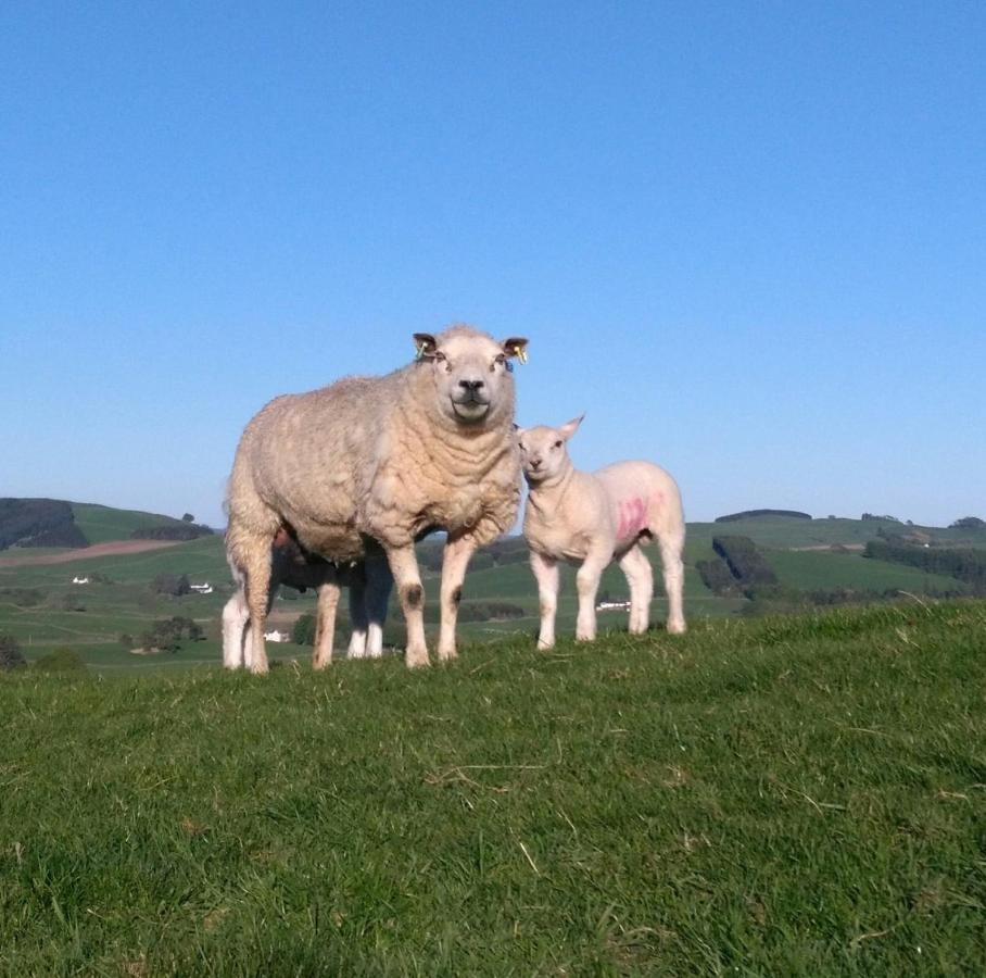 Boreland Farm Alojamento de Turismo Rural Dunscore